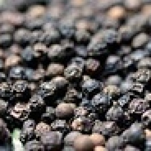 Vietnam black pepper for sell